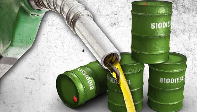 Penurunan harga biodiesel terjadi akibat menurunnya harga minyak kelapa sawit. Foto : freemalaysiatoday.com