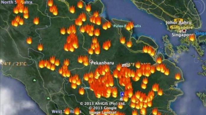 BMKG menyatakan dari 103 titik panas di Riau, 87 diantaranya dipastikan sebagai titik api. Foto : Tribunnews.com