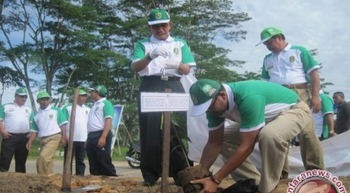 Penanaman bibit pohon langka itu adalah salah dari sejumlah kegiatan BHUN di Kalimantan Timur. Foto : Antara