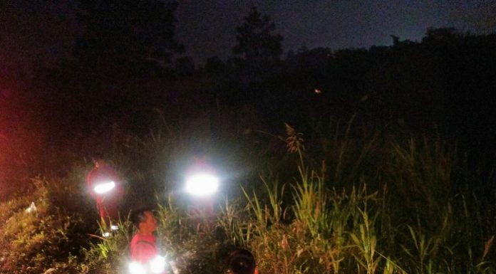 Manggala Agni fokus pada pengamanan di sekitar Jakabaring dengan melakukan patroli 24 jam siang-malam. Foto : Kementerian LHK