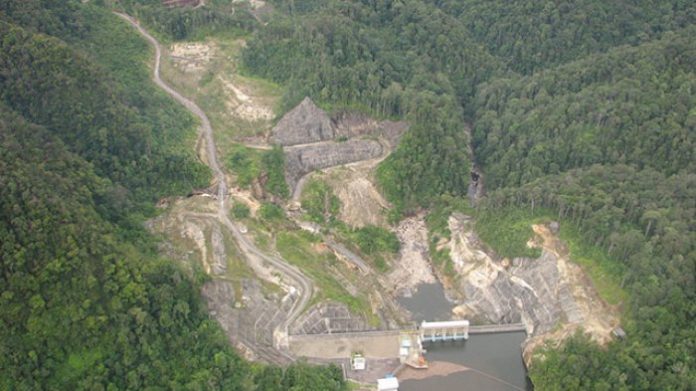 Tiga perbaikan dokumen Amdal untuk proyek pembangkit listrik berkapasitas 510 Mega Watt (MW) yang pembangunannya dilakukan di Ekosistem Batang Toru yang menjadi habitat Orangutan Tapanuli. Foto : Tribunews.com