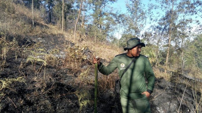 Kebakaran hutan dan lahan (karhutla) pada Hutan Lindung Gunung Lawu, Kabupaten Karanganyar, Provinsi Jawa Tengah, akhirnya berhasil dipadamkan. Foto : Kementerian LHK
