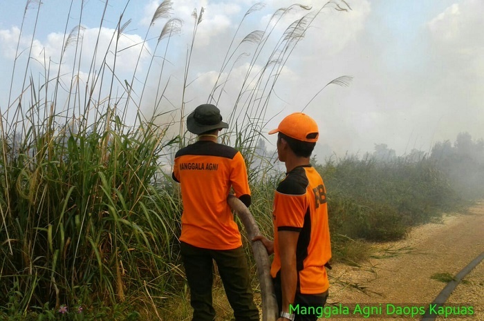 Pasukan Manggala Agni KLHK tersebar di berbagai daerah untuk memadamkan api di beberapa titik kebakaran. Foto : Kementerian LHK