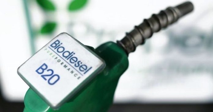 Pengembangan biodiesel saat ini masih tergantung pada insentif yang diberikan oleh Badan Pengelola Dana Perkebunan Kelapa Sawit (BPDPKS) untuk industri biodiesel. Insentif yang diberikan akan membengkak jika selisih harga FAME dari sawit sebagai input biodiesel lebih tinggi dari harga solar. Foto : iNews.id