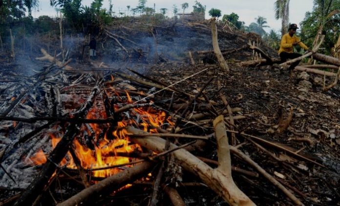 Data kebakaran hutan dan lahan sejauh ini 90 persen karena ulah manusia. Foto : Antara