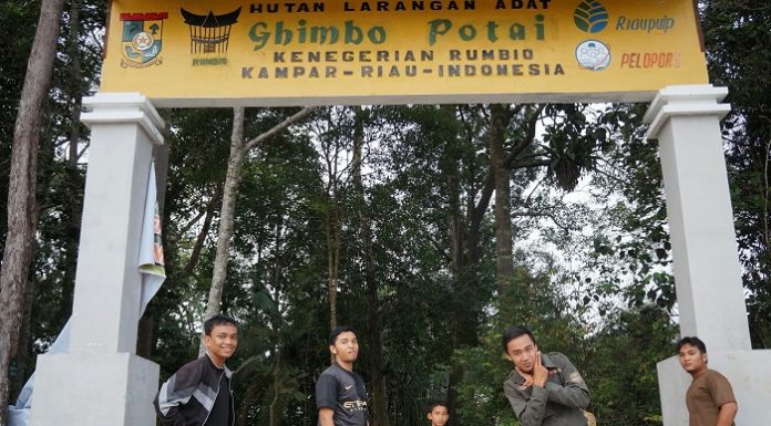 Potensi hutan adat yang menyebar di sejumlah kabupaten di Provinsi Riau mencapai 300.000 haktare. Foto : kerjaforester.blogspot.com