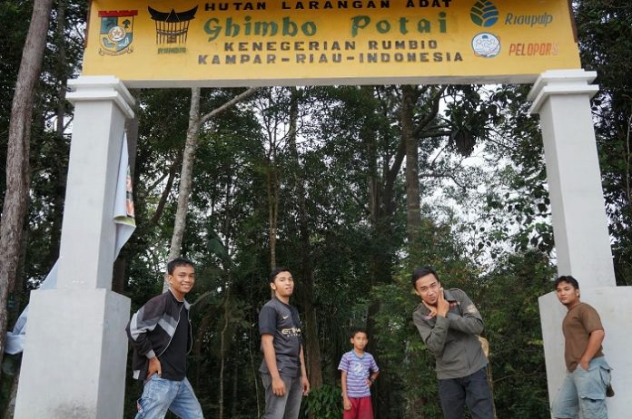 Potensi hutan adat yang menyebar di sejumlah kabupaten di Provinsi Riau mencapai 300.000 haktare. Foto : kerjaforester.blogspot.com