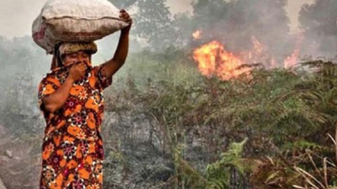 Pelaku kebakaran hutan dan lahan menyebabkan dampak yang merugikan bagi masyarakat. Foto : BeritaHati.com