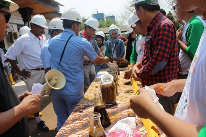 Manajemen Sinar Mas mengundang puluhan pembeli produk sawit dari berbagai negara untuk memastikan bahwa produk sawit Indonesia sudah memenuhi semua persyaratan. Foto : Ilustrasi - Jos/tropis.co
