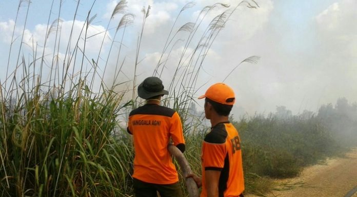 Manggala Agni masih terus melakukan pemadaman di beberapa titik di Kalimantan Tengah seperti di Katingan, Murung Raya, dan Palangkaraya. Foto : Kementerian LHK