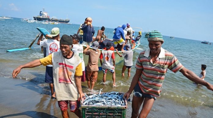 KKP dengan bimbingan penyuluh perikanan juga akan berupaya memberdayakan nelayan seperti melalui potensi akses permodalan, pengetahuan, dan akses pasar. Foto : Antara