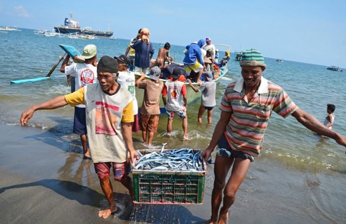 KKP dengan bimbingan penyuluh perikanan juga akan berupaya memberdayakan nelayan seperti melalui potensi akses permodalan, pengetahuan, dan akses pasar. Foto : Antara