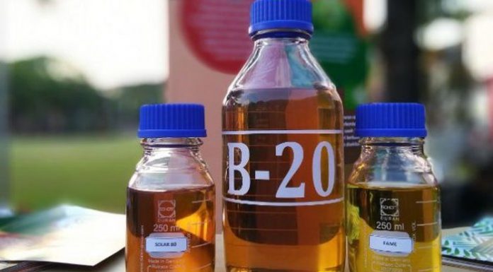 Program B20 yang diperluas ke segmen non PSO selama dapat menyerap 1 juta ton biodiesel sepanjang September-Desember 2018. Foto : Tribunnews.com