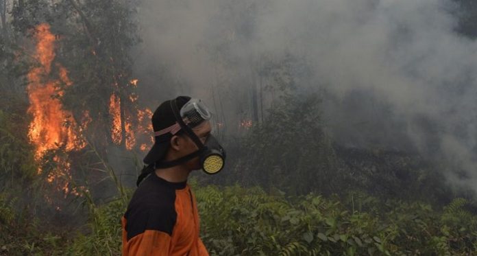 Pemerintah tahun ini mengawal ketat wilayah rawan kebakaran hutan dan lahan, sehingga berhasil menurunkan jumlah titik api hingga 96,5 persen di seluruh Indonesia dalam periode 2015-2017. Foto : Antara