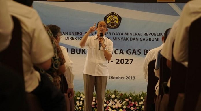 Wakil Menteri Energi dan Sumber Daya Mineral (ESDM) Arcandra Tahar ungkapkan bahwa NGI diproyeksikan surplus gas dari tahun 2019-2024. Foto : Kementerian ESDM