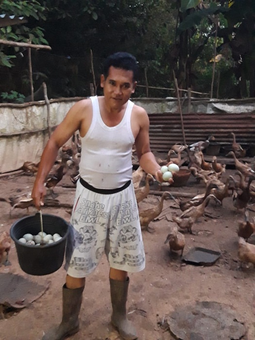 Dengan pengembangan budidaya ternak ayam dan bebek petelur telah berkontribusi pada PADesa yang cukup signifikan setiap bulannya. Foto : Andeska/tropis.co