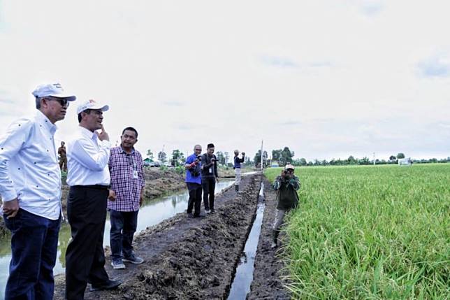 Ada lima provinsi yang dikembangkan oleh Kementerian Pertanian dalam pemanfaatan lahan rawa dengan luas kurang lebih 10 juta hektare. Foto : LINE Today