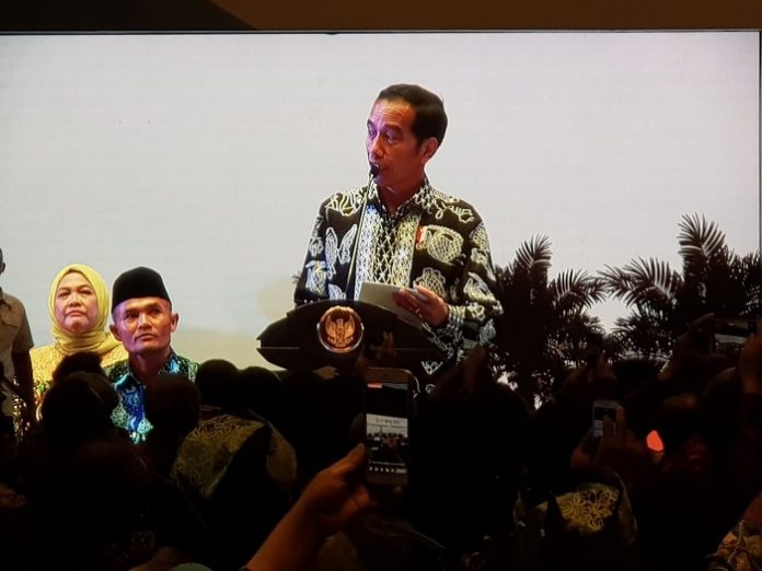Presiden Joko Widodo ingin prosedur pencairan dana peremajaan sebesar Rp25 juta untuk setiap hektare perkebunan kelapa sawit bisa dibuat sesederhana. Foto : GAPKI