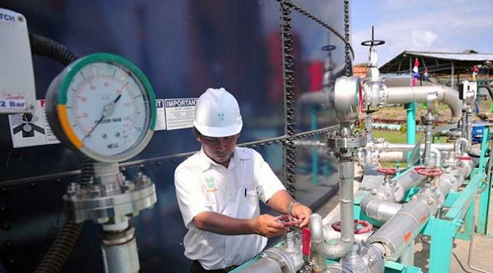 PT Asian Agri sudah menghasilkan tujuh PLTBg dari pemanfaatan limbah cair pabrik minyak kelapa sawit (PMKS). Foto : Media Indonesia