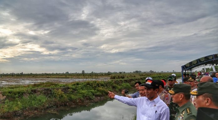 Menteri Pertanian Andi Amran Sulaiman mengaku serius jadikan Kalimantan Selatan sebagai lumbung pangan Pulau Kalimantan dengan memanfaatkan rawa menjadi lahan pertanian. Foto : Fajar