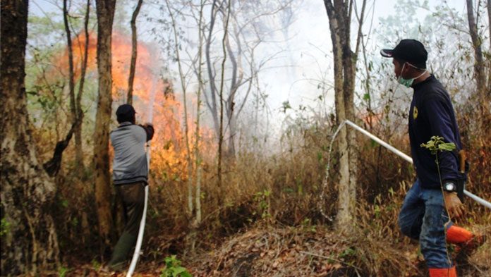 Kebakaran di kawasan hutan Taman Nasional Gunung Ciremai di Kabupaten Kuningan sudah berlangsung lebih dari seminggu dan seluruh jajaran terkait sudah melakukan upaya pemadaman. Foto : Radar Cirebon