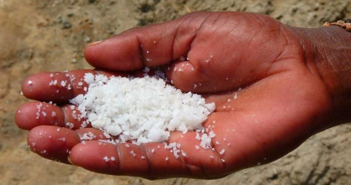 Menurut penelitian, dengan asumsi asupan garam 10 gram per hari, konsumen dewasa rata-rata dapat mencerna sekitar 2.000 mikroplastik setiap tahun melalui garam saja. Foto : Pantau.com
