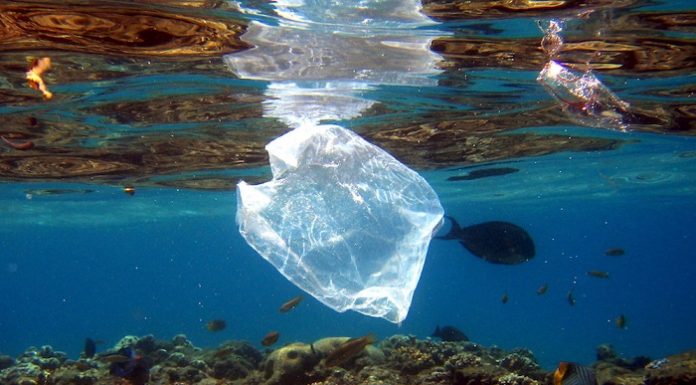 Sampah plastik yang mencemari pantai dan laut Indonesia sudah menjadi ancaman serius nasional. Foto : EPA/Mike Nelson