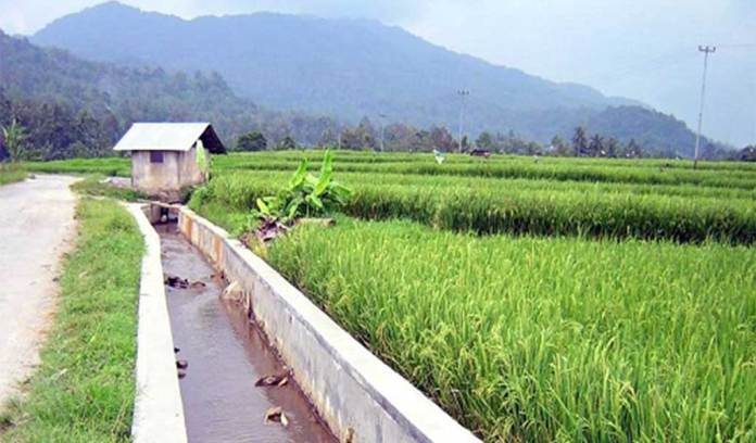 Pembangunan infrastruktur irigasi penting dilakukan guna meningkatkan produktivitas petani. Foto : eQuator.co.id