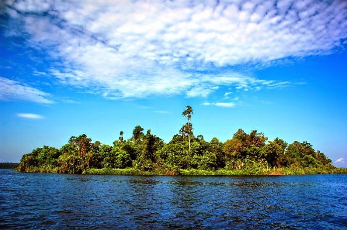Pulau di Danau Pulau Besar, Danau Zamrud Siak, di kawasan Taman Nasional Zamrud di Siak Riau yang berada di lahan gambut seluas 31.480 hektare. Foto : oknusantara.com