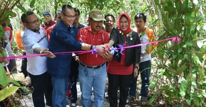 Pertamina Jadikan Arboretum Gambut RBORETUM GAMBUT