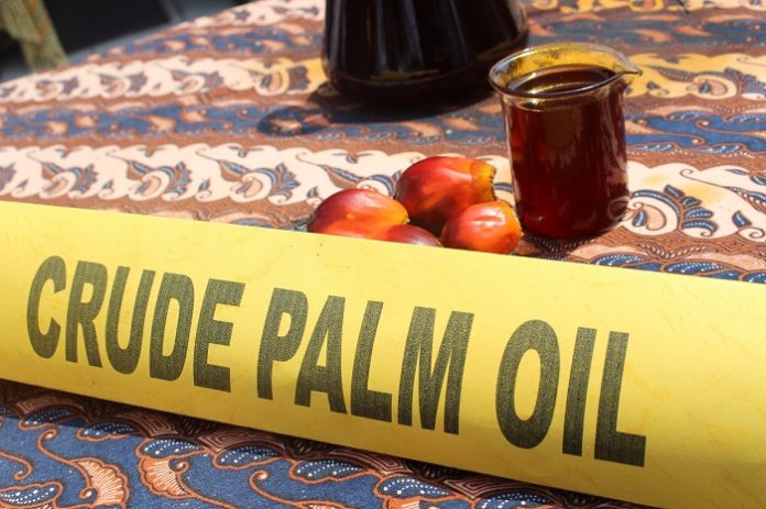 Terjadi over supply tandan buah segar dan crude palm oil (CPO) sehingga harganya tergerus turun di tahun 2018. Foto : Jos/tropis.co