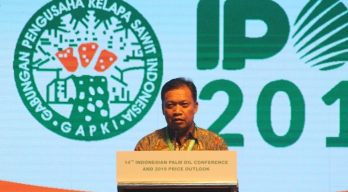 Ketua Umum GAPKI Joko Supriyono menuturkan, Hingga tahun 2018 ini, iklim bisnis industri kelapa sawit di Indonesia masih positif. Foto : Jos/tropis.co