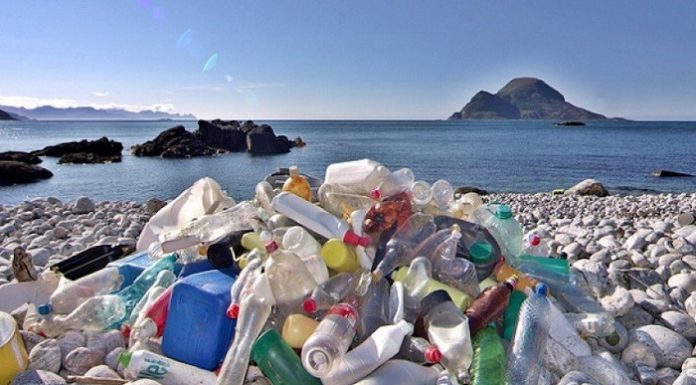 Sampah plastik bisa dijadikan bahan baku industri yang punya nilai jual. Foto : Pemburu Ombak