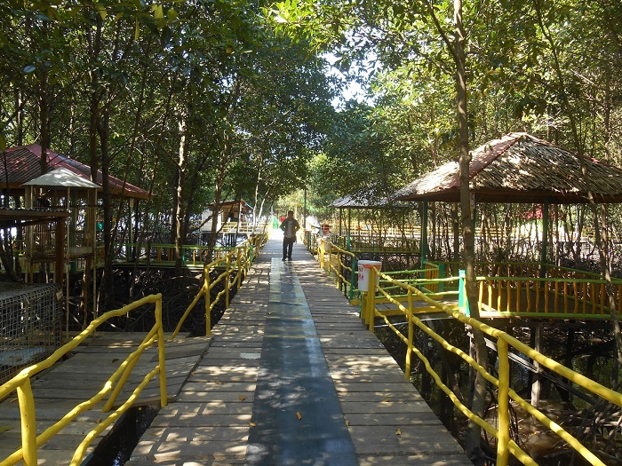 Menikmati Panorama Dan Keunikan Bontang Mangrove Park - Tropis.co | Majalah Ekonomi Dan Lingkungan