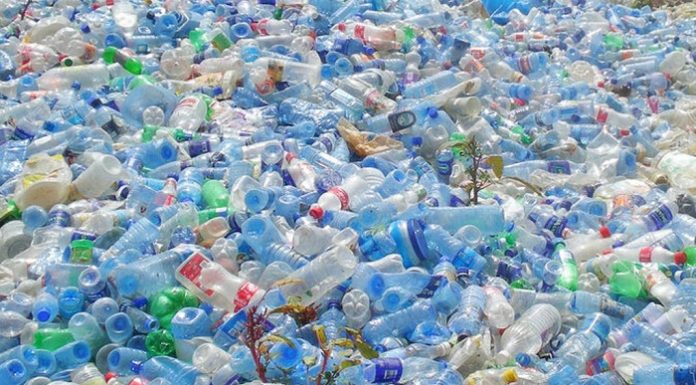 Sampah plastik menjadi salah satu indikasi yang menggambarkan parahnya pencemaran di laut Indonesia. Foto : NU Online