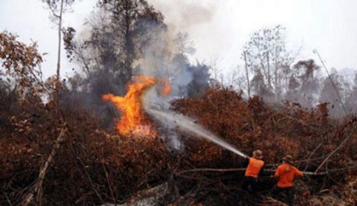 Badan Meteorologi Klimatologi dan Geofisika (BMKG) Stasiun Pekanbaru telah mendeteksi tujuh titik panas yang mengindikasikan kebakaran hutan dan lahan (Karhutla) di Provinsi Riau. Foto : Kantor Berita Kemanusiaan