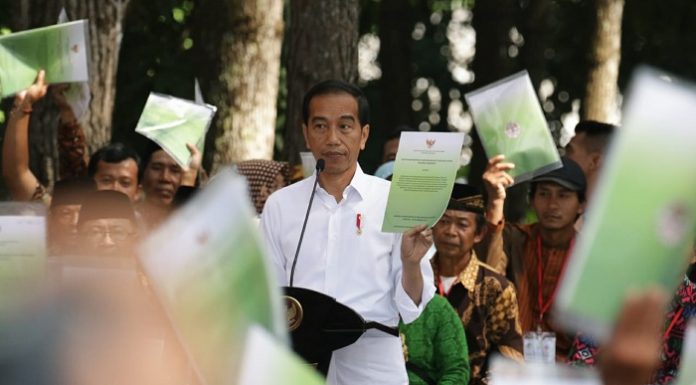 Program Perhutanan Sosial di era Preisden Joko Widodo dilaksanakan untuk mengurangi konflik permasalahan lahan di masyarakat dan bisa membantu mengentaskan kemiskinan masyarakat. Foto : KLHK