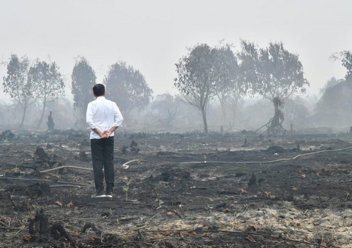 Mengutip data Global Forest Watch (GFW) per 1 Januari 2019 hingga 16 September 2019 di seluruh Indonesia, kebakaran di dalam konsesi sawit mencapai 11 persen, sedangkan luar konsesi mencapai 68 persen. Foto : SinarHarapan.ID