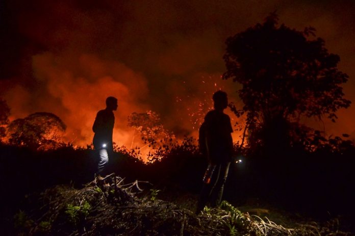Kebakaran hutan dan lahan (Karhutla) lebih banyak terjadi di area luar konsesi. Foto : Fajar Indonesia Network