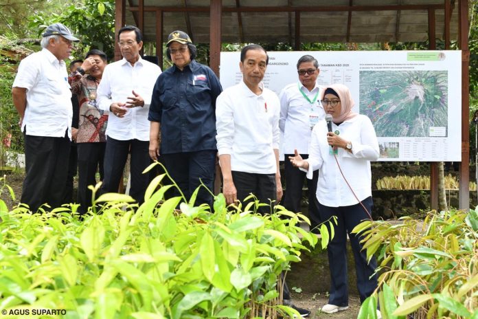 Presiden Joko Widodo ingin rehabilitasi hutan dan lahan jadi fokus Kementerian Lingkungan Hidup dan Kehutanan. Foto: KLHK