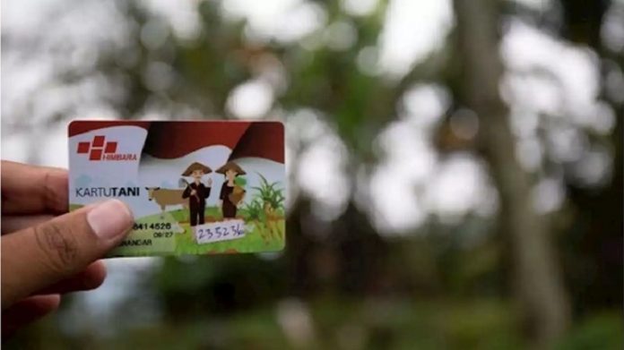 Satu petani dapat satu kartu dan dengan kartu tersebut dapat mengambil pupuk sesuai kuota yang sudah ditentukan untuk petani. Foto: Head Topics