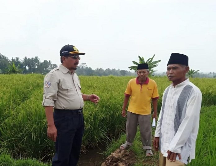 Direktur Jenderal Prasarana dan Sarana Pertanian Kementerian Pertanian Sarwo Edhy (pertama dari kiri) ingin petani memperoleh akses yang mudah untuk mendapatkan kredit usaha rakyat (KUR). Foto: Kementan