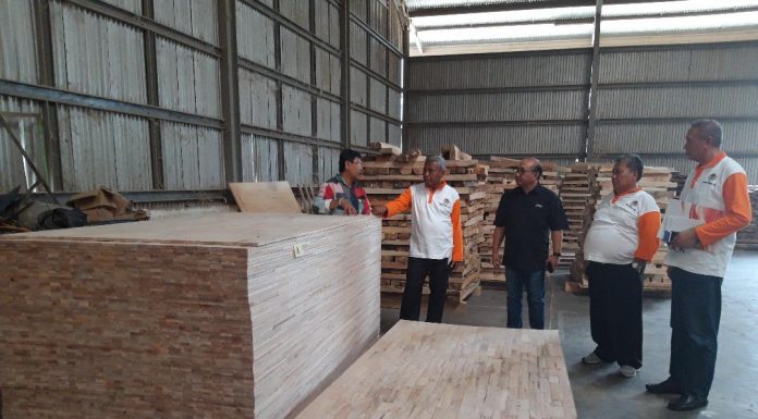 Industri kayu lapis terdampak langsung Covid-19, karenanya Apkindo mendesak pemerintah segera mengembalikan dana mereka sebesar Rp2,1 triliun. Foto: Apkindo