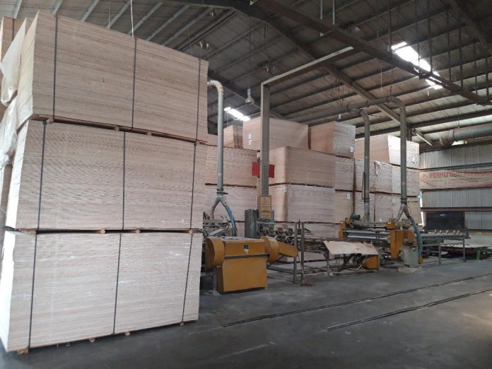 Pemberlakuan Dokumen V Legal untuk memastikan bahwa produk kayu tujuan ekspor memenuhi standar verifikasi legalitas kayu sesuai dengan ketentuan peraturan perundang-undangan. Foto: TROPIS.CO/Andeska