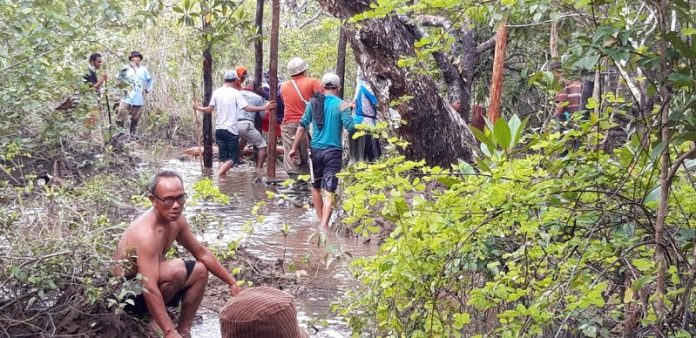 Mandat percepatan implementasi rehabilitasi mangrove kepada BRGM di sembilan provinsi seluas 600 ribu hektare yaitu Sumatera Utara, Riau, Kepulauan Riau, Bangka dan Belitung, Kalimantan Barat, Kalimantan Timur, Kalimantan Utara, Papua, dan Papua Barat. Foto: KLHK