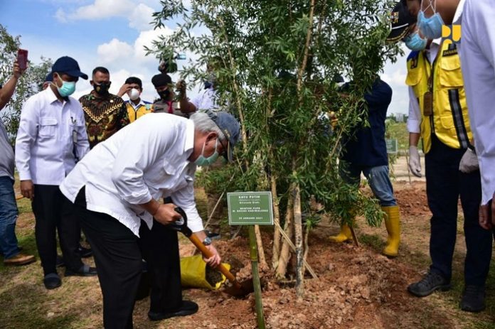 Menteri PUPR Basuki Hadimuljono saat memimpin gerakan penanaman pohon di Km 87 A Tol Bakauheni-Terbanggi Besar - Kayu Agung. Foto: Kementerian PUPR