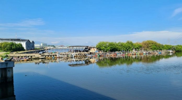 Kementerian PUPR bekerja sama dengan pemerintah daerah menyiapkan program relokasi lahan mangrove yang berada di sekitar pembangunan Seksi 1 Tol Semarang - Demak ruas Semarang - Sayung. Foto: Kementerian PUPR