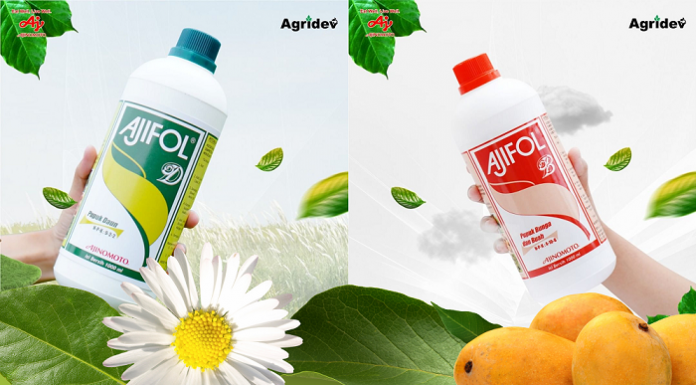 AJIFOL memiliki dua varian, yaitu AJIFOL D untuk pertumbuhan vegetatif tanaman (akar, batang, daun) dan AJIFOL B untuk pertumbuhan generatif tanaman (bunga dan buah). Foto: Ajinomoto
