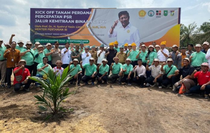 Program yang dimotori oleh Kementerian Pertanian dan Badan Pengelola Dana Perkebunan Kelapa Sawit (BPDKS) ini telah berjalan dari tahun 2017. Foto: GAPKI